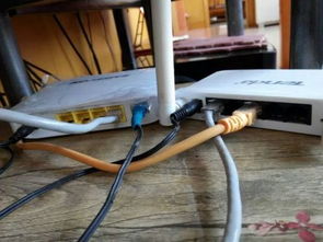 共享网线，为何邻居家能上我家不行？——家庭网络共享常见问题排查指南